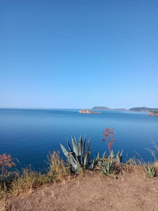 Gli Appartamenti Di Francuzzo Теулада Екстер'єр фото